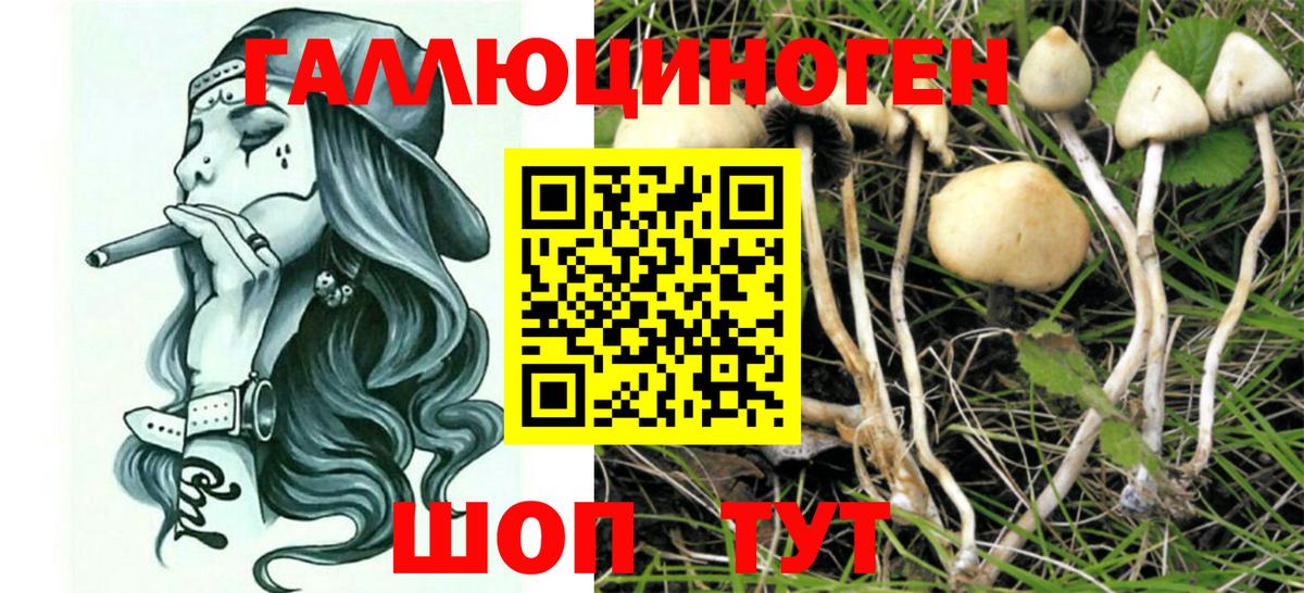 Псилоцибиновые грибы ЛСД  Вход с VPN  Севастополь 